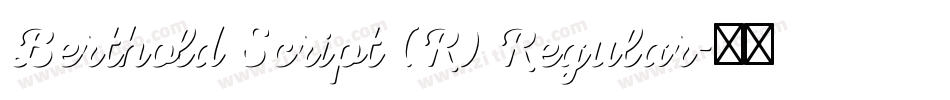 Berthold Script (R) Regular字体转换